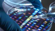 25 Jahre nach dem Genom-Durchbruch: Warum die Genetik noch viele Rätsel birgt