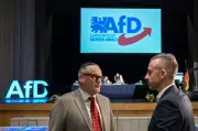 AfD in Sachsen-Anhalt: Netzwerk der Vetternwirtschaft und Überkreuz-Jobs enthüllt