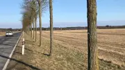 Agro-Solarpark bei Meiersberg: Gemeindevertretung entscheidet über 47-Hektar-Projekt