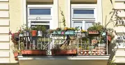 Balkon-Frühjahrsputz in München: Was im März schon wächst und was erlaubt ist