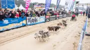 Baltic Lights: Zehnjähriges Jubiläum der Schlittenhunderennen auf Usedom