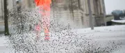 Berliner Winterdienst: CDU und SPD fordern strengere Kontrollen der Räumpflicht