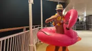 BILD-Reporter startet FKK-Kreuzfahrt: Nackt auf der Norwegian Pearl durch die Karibik