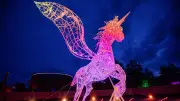BILDplus Gewinnspiel: Exklusive Tickets für den LUMAGICA Lichterpark in München sichern