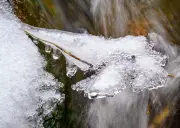 Brandenburg: Eiseskälte weicht milderen Temperaturen am Wochenende