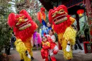 Chinesisches Neujahrsfest in der Bremer Botanika: Vom Holzschlangen- zum Feuerpferdejahr