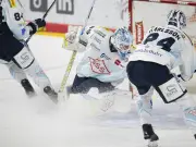 Dresdner Eislöwen nach nur einer Saison als sportlicher Absteiger aus DEL fest