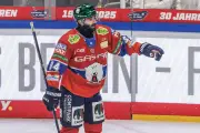 Eisbären Berlin beenden Negativserie mit klarem 5:2-Heimsieg gegen Iserlohn Roosters