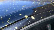 Gelbe Flecken auf dem Auto: Bienen-Kot kann Lack schädigen - So entfernen Sie ihn
