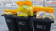 Gelbe Tonne in Mansfeld-Südharz: Wechsel auf 240-Liter-Variante jetzt in Ausnahmefällen möglich?
