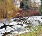 Köthener Schlosspark: Abgestorbener Baum aus Sicherheitsgründen gefällt