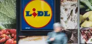Lidl verliert vor Gericht: Irreführende Werbung für größte Preissenkung aller Zeiten