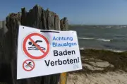 Ostsee leidet unter schwerer Nährstoffhypothek - Verbesserung bleibt aus