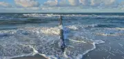 Ostsee-Wasserstand auf historischem Tiefstand: Forscher hoffen auf Salzwasser-Zustrom