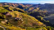 Piemonts Genuss-Paradies: Barolo-Weine und Alba-Trüffel locken Feinschmecker