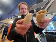 Pottwal-Strandung auf Sylt: Tintenfisch-Mahlzeit und Parasiten im Speck enthüllt