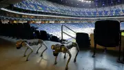Roboter-Hunde statt Wachhunde: Künstliche Vierbeiner sichern Fußball-WM in Mexiko