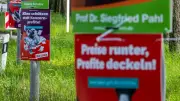 Schwerin erlässt strikte Plakat-Regeln für OB-Wahl: Schluss mit dem Schilderwald