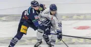 Straubinger Tigers verabschieden Führungsspieler Mike Connolly nach Karriereende