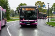 Streit um Busflotte: Ecovista tauscht Fahrzeuge im Schienenersatzverkehr aus