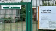 Tierheim Halle plant Umzug: Neue Heimat für Vierbeiner in Sicht