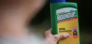 Trump erklärt Glyphosat zur nationalen Sicherheitsfrage - Bayer profitiert