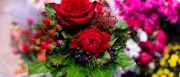 Valentinstag 2026: Berliner Floristen verzeichnen Trendwende bei Blumensträußen