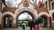 Zoo Leipzig erhöht Eintrittspreise: Neue Tarife für Jahreskarten und Tagestickets