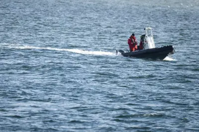 Buckelwal vor Ostseeküste abgetaucht: Suche in der Dunkelheit eingestellt