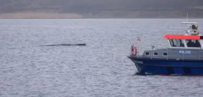 Buckelwal vor Wismar in Not: Dritte Rettungsaktion droht nach erneutem Feststecken