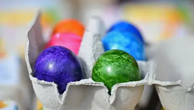 Deutsche Ostereier: Importe sinken, heimische Produktion wächst