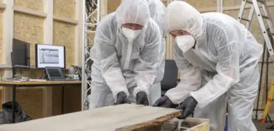 DNA-Analyse löst Rätsel: Magdeburger Dom-Gebeine gehören zu Otto dem Großen