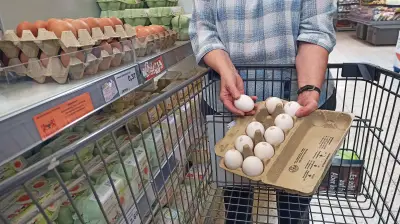 Eierknappheit vor Ostern in Sachsen-Anhalt: Landwirte warnen vor verschärfter Lage