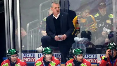 Eisbären Berlin gegen Straubing Tigers: Playoff-Duell mit Kampfansage von Trainer Aubin