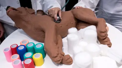 Erste-Hilfe-Kurs für Hundehalter in Penzlin: Notfälle sicher erkennen und behandeln