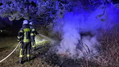 Feuerwehr Aschersleben bekämpft vier Waldbrände auf historischem Burggelände in Nachtaktion