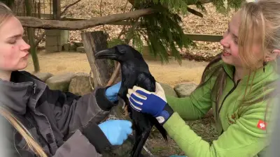 Frühjahrsputz im Tierpark Thale: Neue Anlagen, Tierbabys und spannende Pläne auf dem Hexentanzplatz