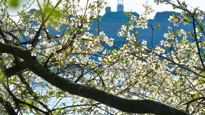 Frühlingserwachen: Die schönsten Sprüche, Zitate und Lieder zum Saisonstart