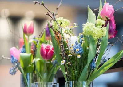 Frühlingserwachen im Zuhause: 6 Tipps für österliche Blumen-Deko mit langer Blüte