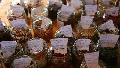 Gartentipps und Saatgutbörse in Malchower Bibliothek: Start in die Gartensaison