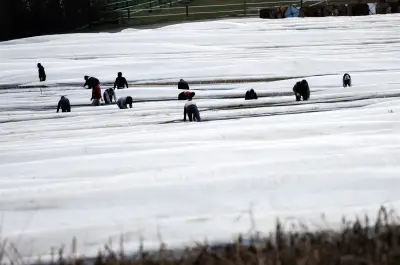 Gewerkschaft kritisiert weiterhin prekäre Arbeitsbedingungen für Saisonarbeiter in Deutschland