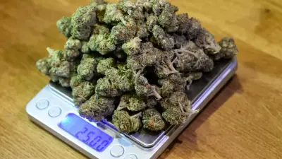 Großrazzia im Südharz: Mutmaßlicher Drogenboss nach Durchsuchungen in U-Haft