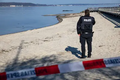 Großwal an Ostseeküste gestrandet: Rettungsaktion in Timmendorfer Strand läuft