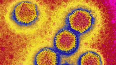 Hepatitis-A-Ausbruch in Süditalien: Rohe Meeresfrüchte unter Verdacht