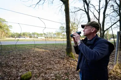 Hirsch Rehné an A7 bei Soltau: Polizei erhält Hunderte Anrufe monatlich