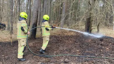 Kleiner Brand, große Gefahr: Feuerwehr verhindert Waldkatastrophe bei Groß Trebbow