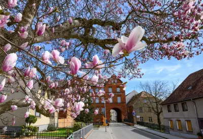 Launisches Aprilwetter startet erste Osterferienwoche in Berlin und Brandenburg