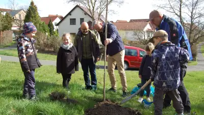 Linde für die Öko-Ecke: Wasserversorger Midewa pflanzt Baum in Hohenmölsen