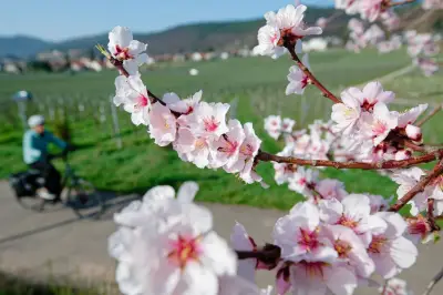 März-Wetterbilanz: Frühlingswärme und Sonnenschein mit spätem Wintereinbruch