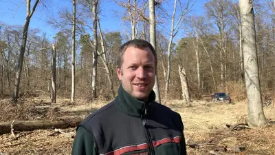 Nur 8% gesunde Bäume in Templiner Stadtforst: Revierförster setzt auf Vielfalt und Bürgerhilfe